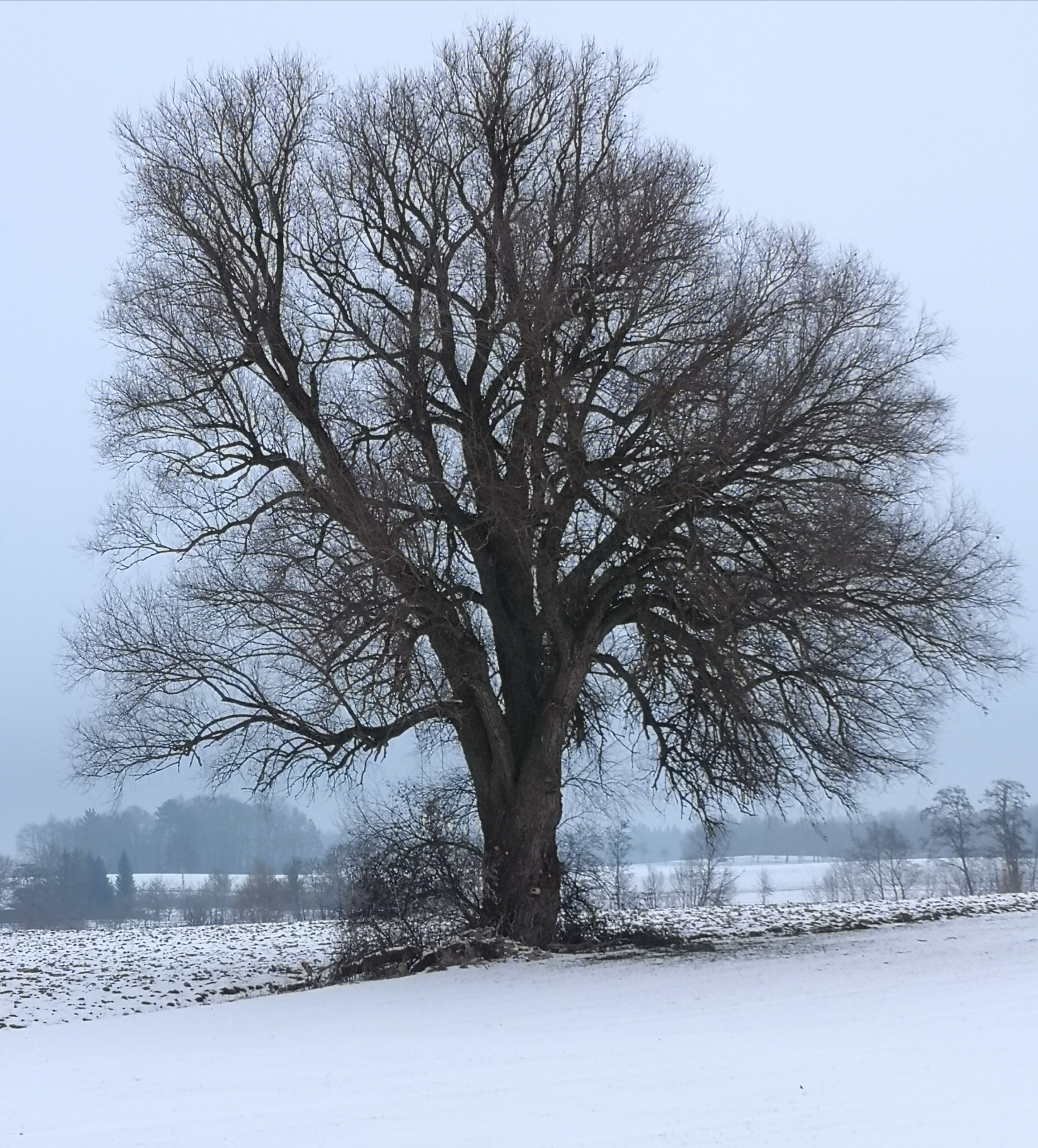 © Anton. Türkenfeld – Winter