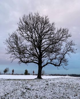 © Angie, Germering – Winter