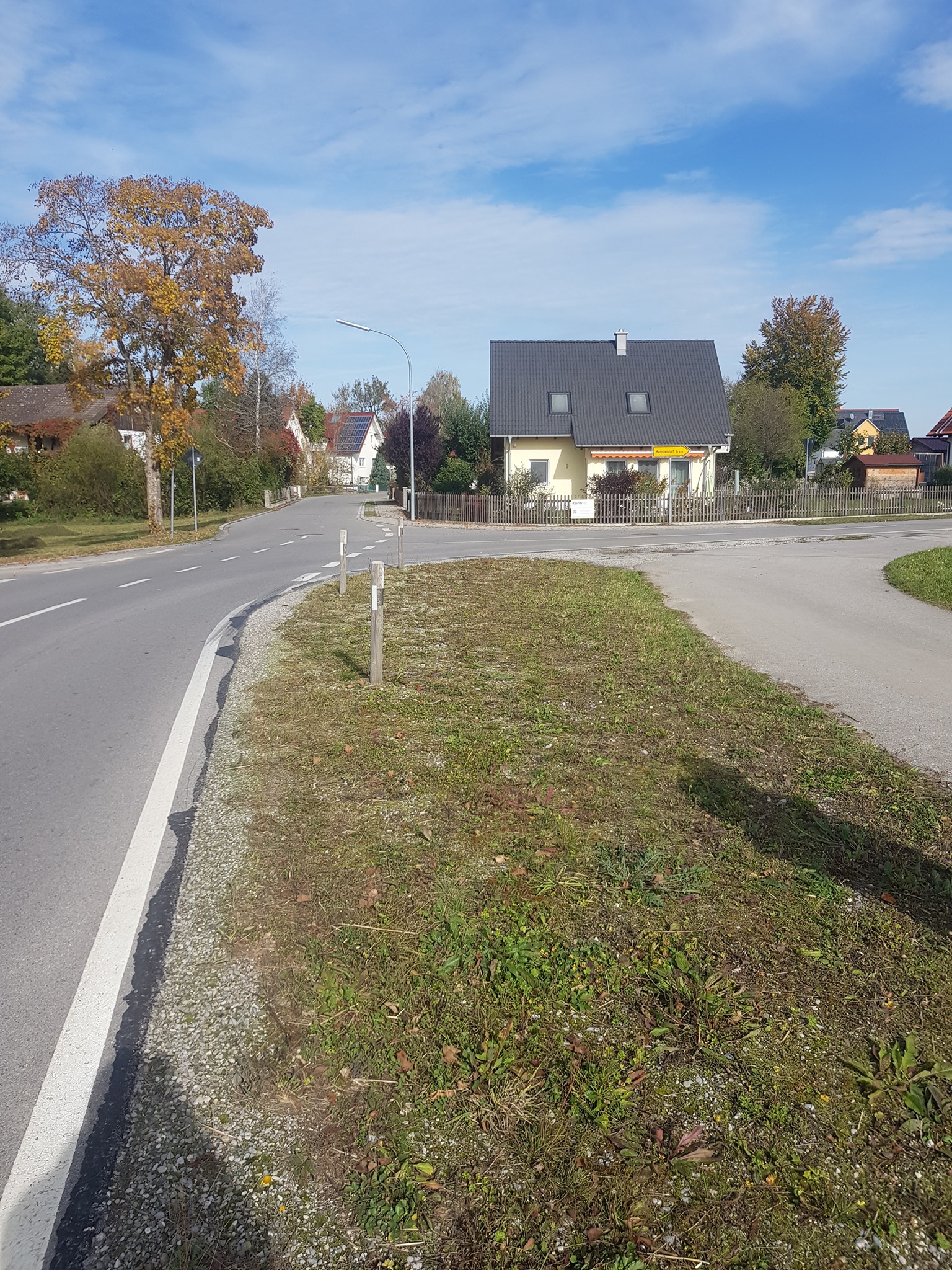 Nassenhausen Süd, wohl verkehrsbedingt abgemäht (C) Antonia Raith