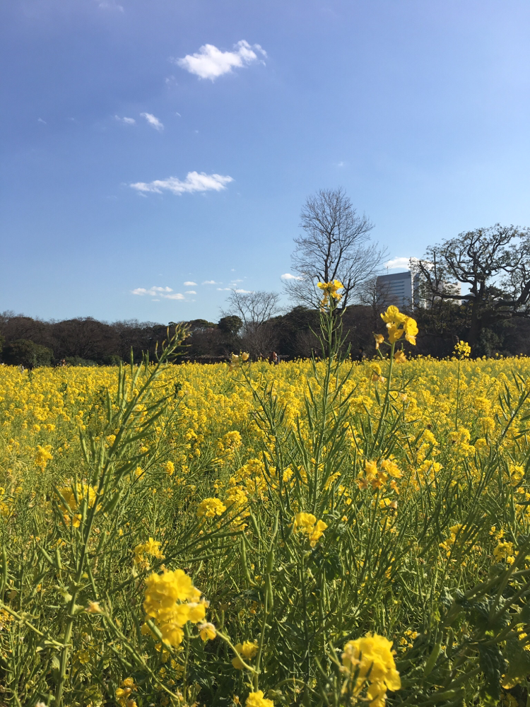 こんな景色の場所でのんびり、リラックスを心がけましょう♪