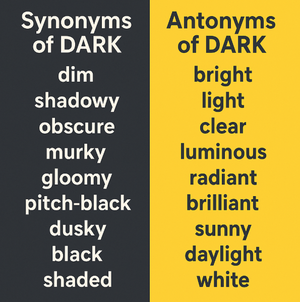 Dark - Sinónimos y antónimos en inglés - Ejercicio