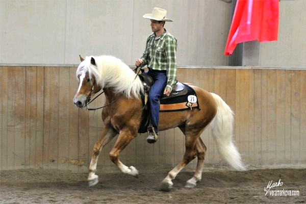 Europachampionat 2009 - Alkasar Westernreiten