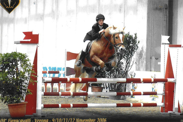 Fiera cavalli Verona 2006 - Wildbach Springen