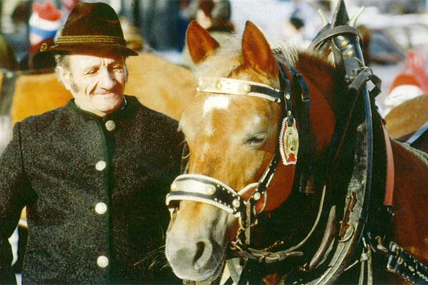 Anton Telser mit Zuchtstute Berta