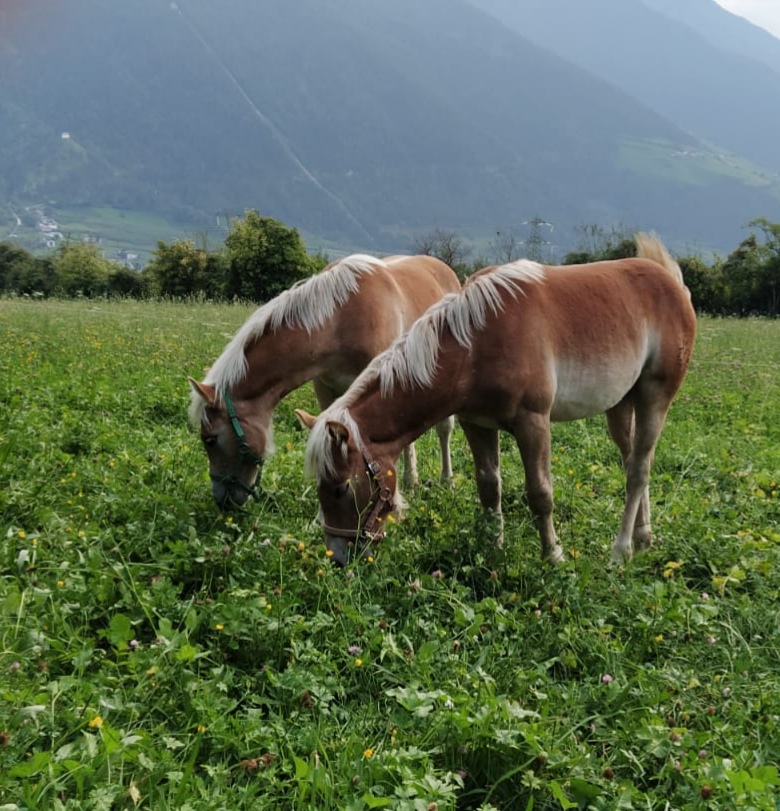 Balduin und Bexter