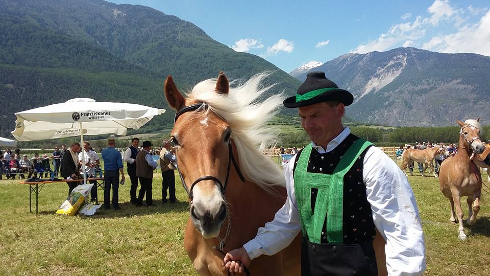 Siegerstute Odysse
