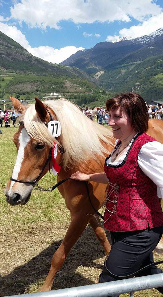 3. Platz: Unsere Mutterstute Gitti