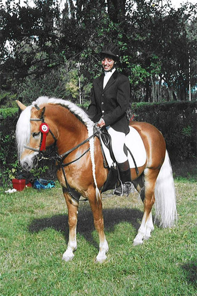 Sieger Dressurturnier