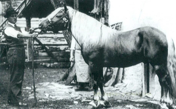 Franz Österreicher sen. (Schwiegersohn von Rochus Eberhöfer) mit Fritz Meran