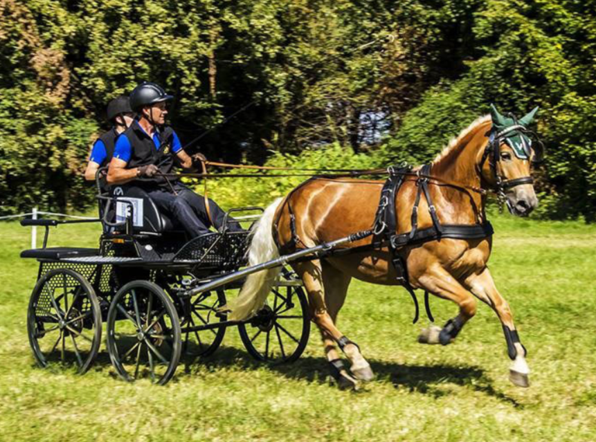 Helmut beim Europachampionat in Vermezzo (Mailand) mit Vize-Europameisterin Quicki