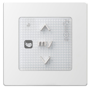 Smoove origin RS100