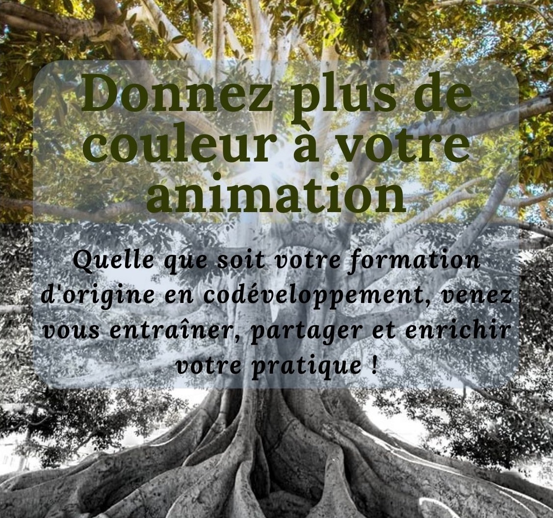 CODÉVELOPPEMENT : SÉANCES D'INTERVISION POUR ANIMATEURS : chaque 3ème mercredi du mois