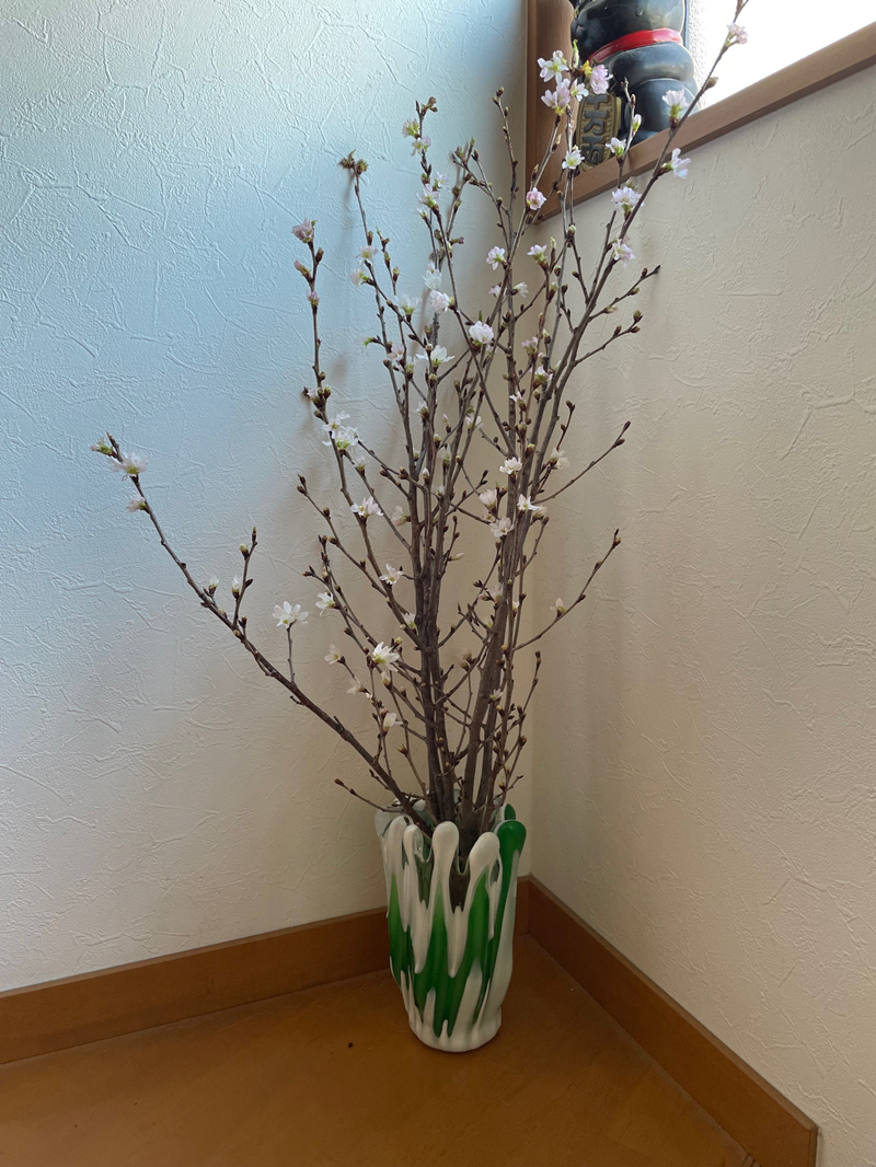桜
