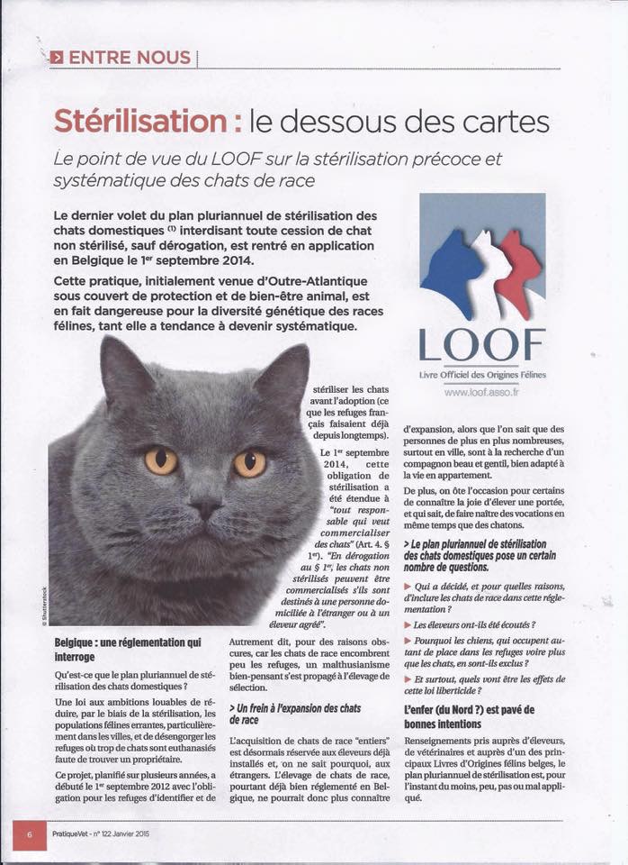 Reponse Du Thecc Au Loof Sujet Celeste Thecc Themis Cat Club Reponse Du Thecc Au Loof Sujet Celeste Thecc Themis Cat Club