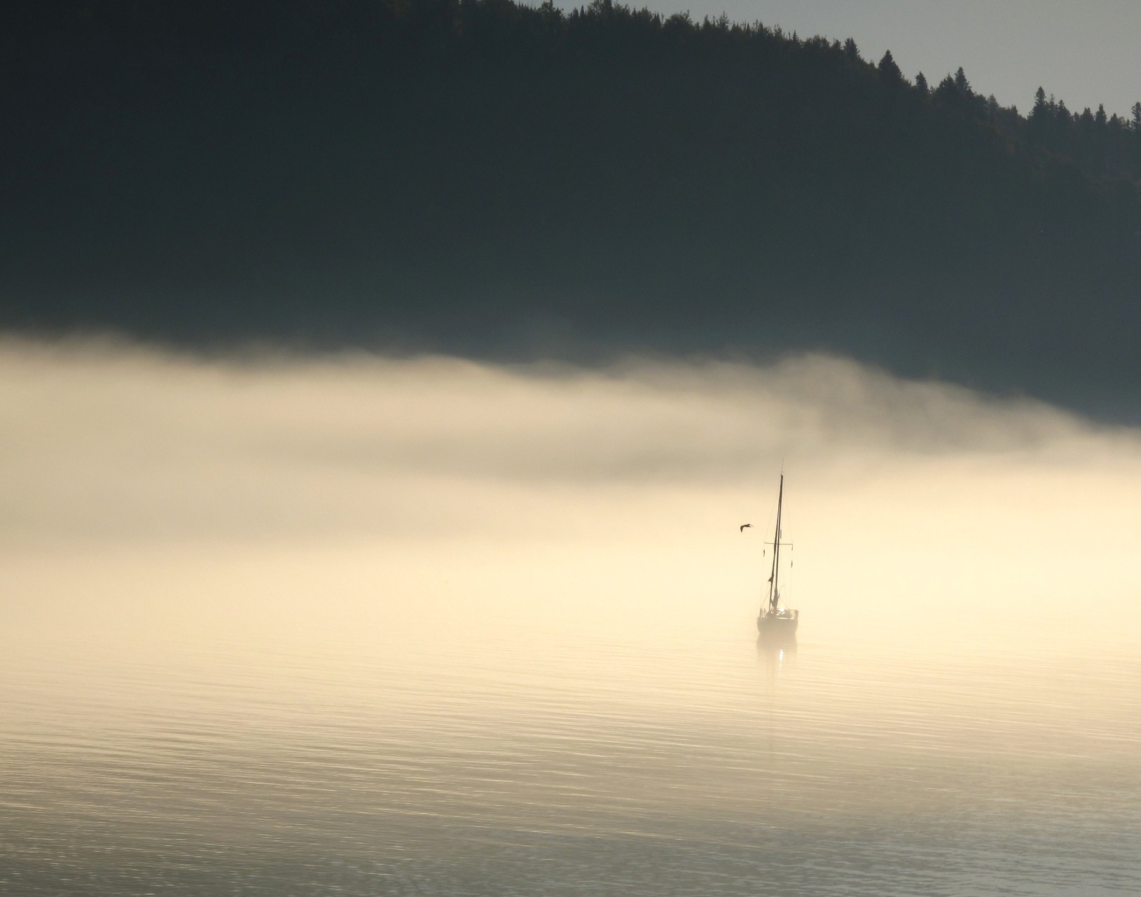 " En attendant la mer"Julie Turconi