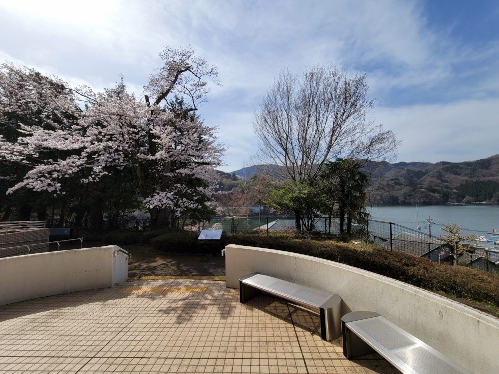 3月31日の日替わりランチ『春巻き』