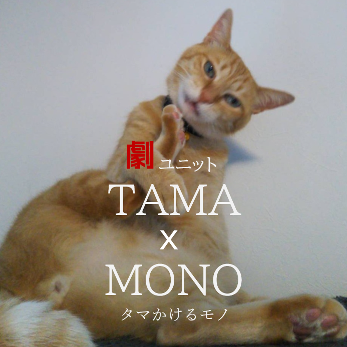 ブログ引っ越してきました❤