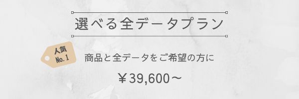 選べる全データプラン
