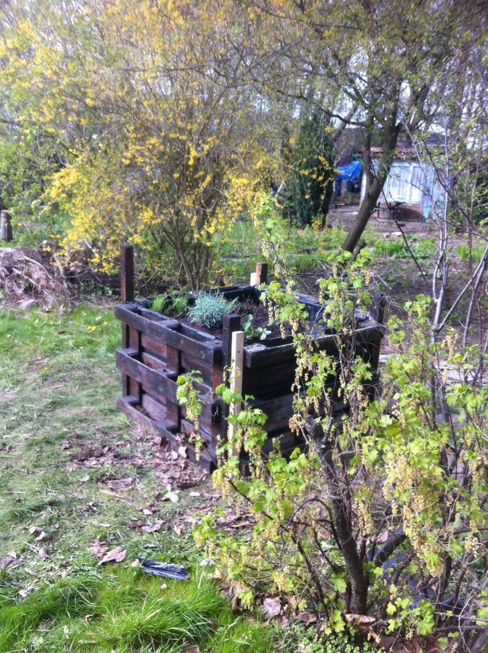 Am Ende des Aktionstages Hochbeetebau standen zwar nicht ganz so viele Hochbeete wie geplant, aber ein Anfang ist gemacht. 