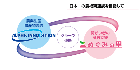 【アルファイノベーション・グループ連携】ネットワーク
