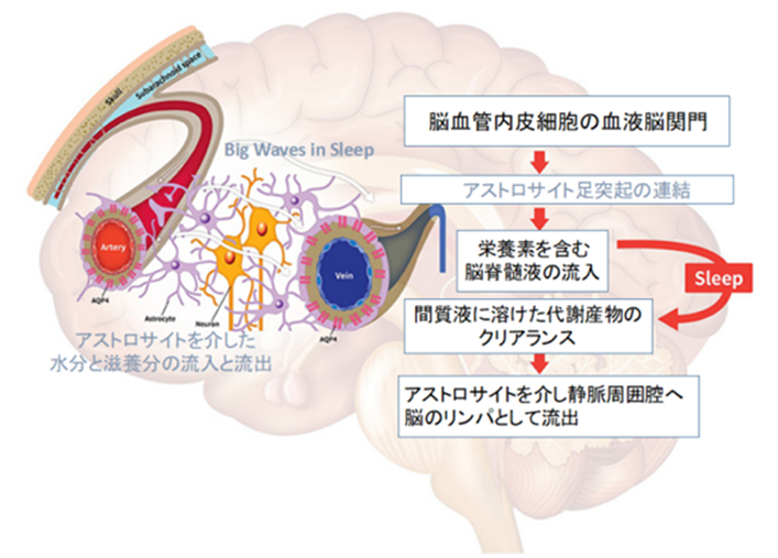 眠れない方のために