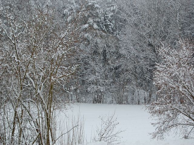 Die Aussicht im Winter