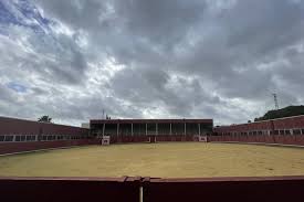 organizar una capea en Cádiz