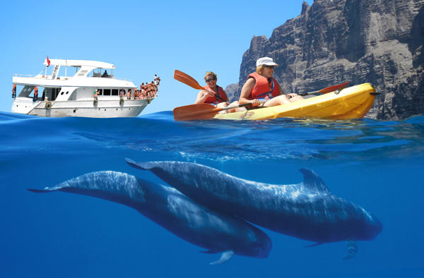 ruta en kayak Tenerife