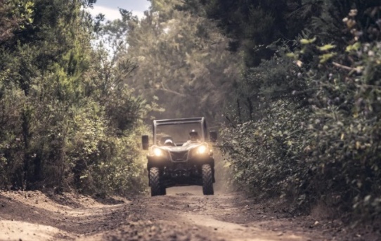Ruta en buggy Tenerife sur