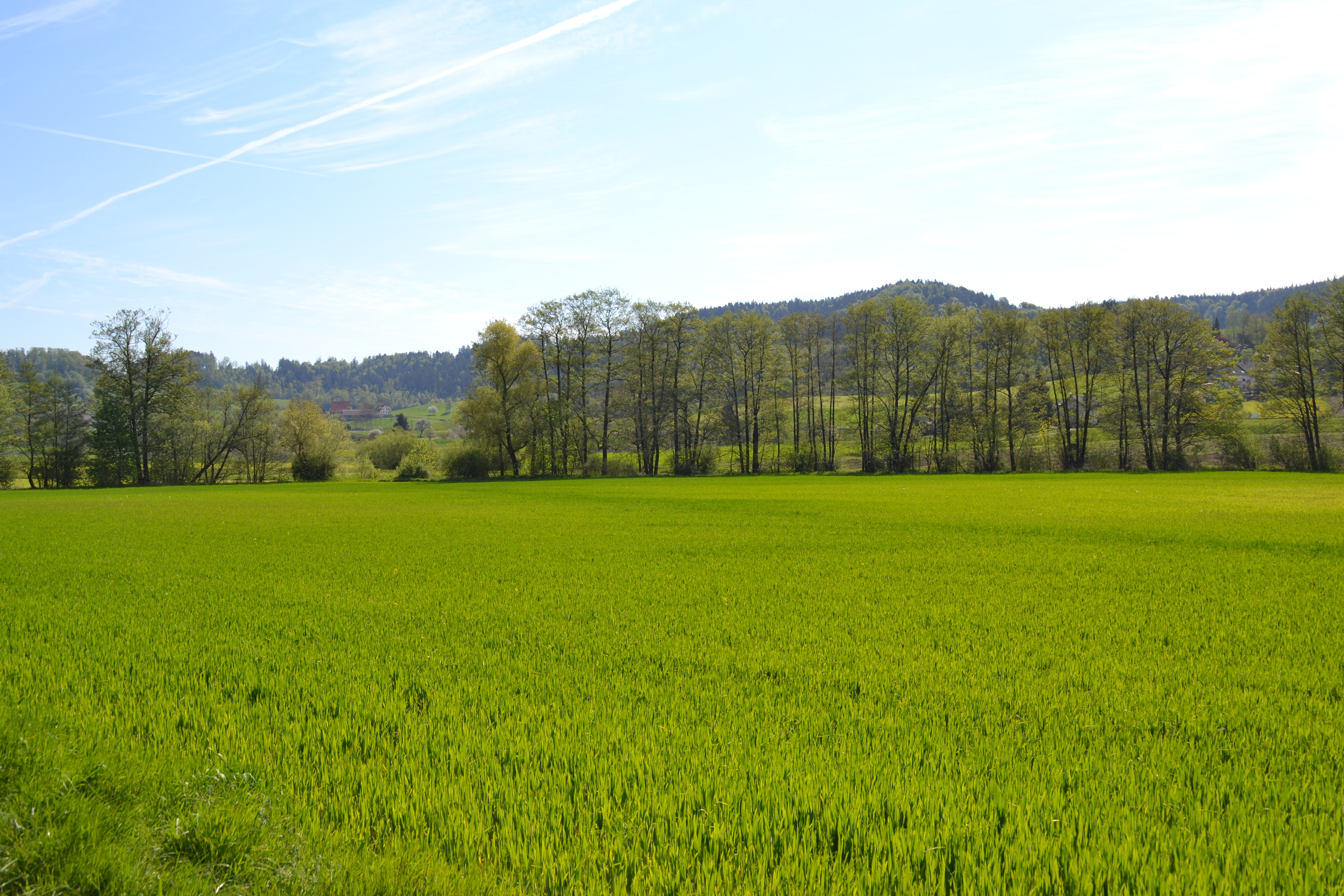 Get Zitatesammlung Free HD Zitatesammlung