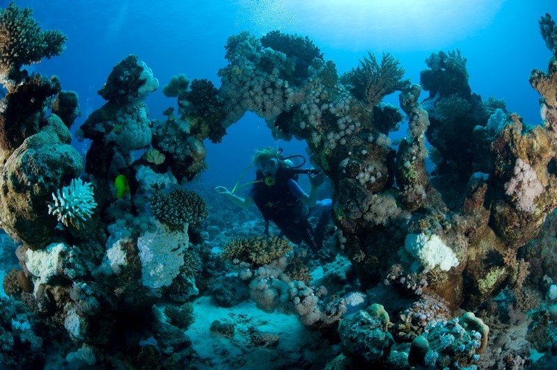 Arche sous-marine - Photo C. Dani