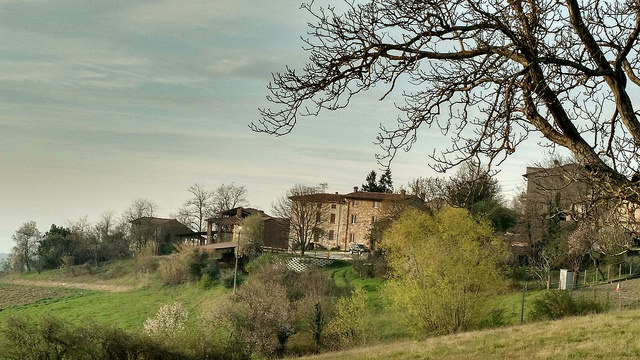 VIDIANO
