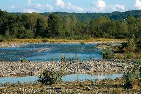 Torrente Chero