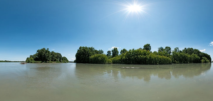 OASI DE PINEDO