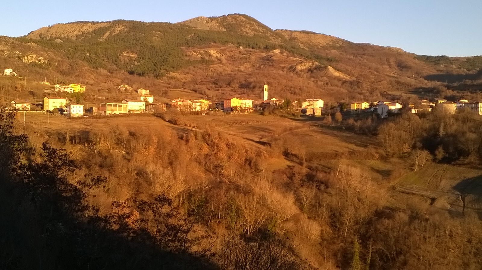 PANORAMA