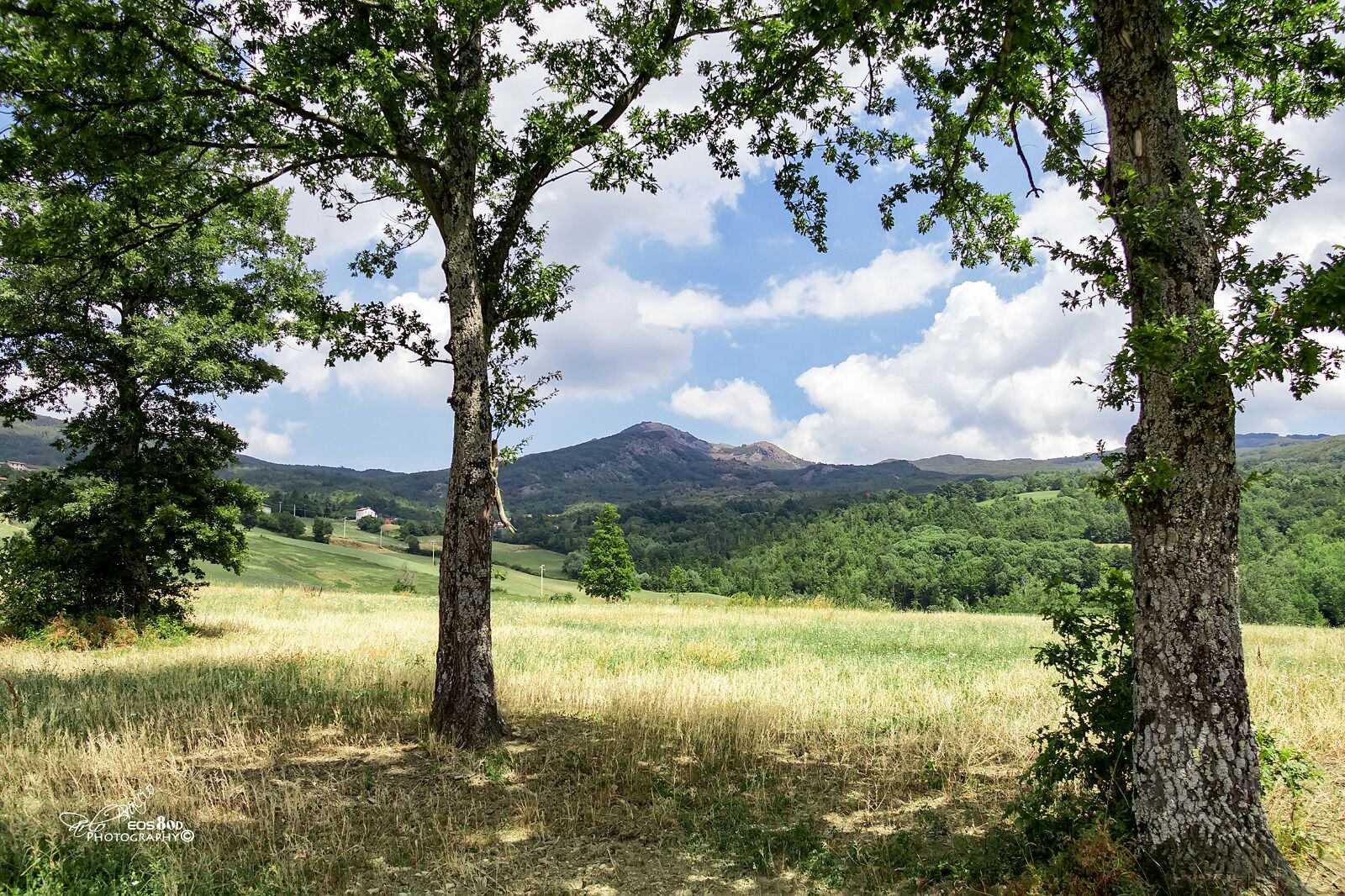 MONTE MENEGOSA