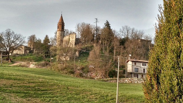 MONTECANINO