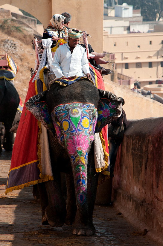 Im Amber Fort