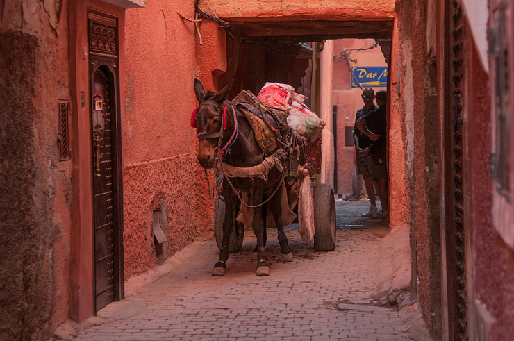 Eselskarre,Medina, Altstadt