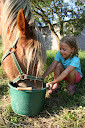 Vacances en famille en roulotte tirée par un cheval