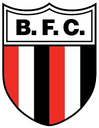 CLUB BOTAFOGO(BRASIL)