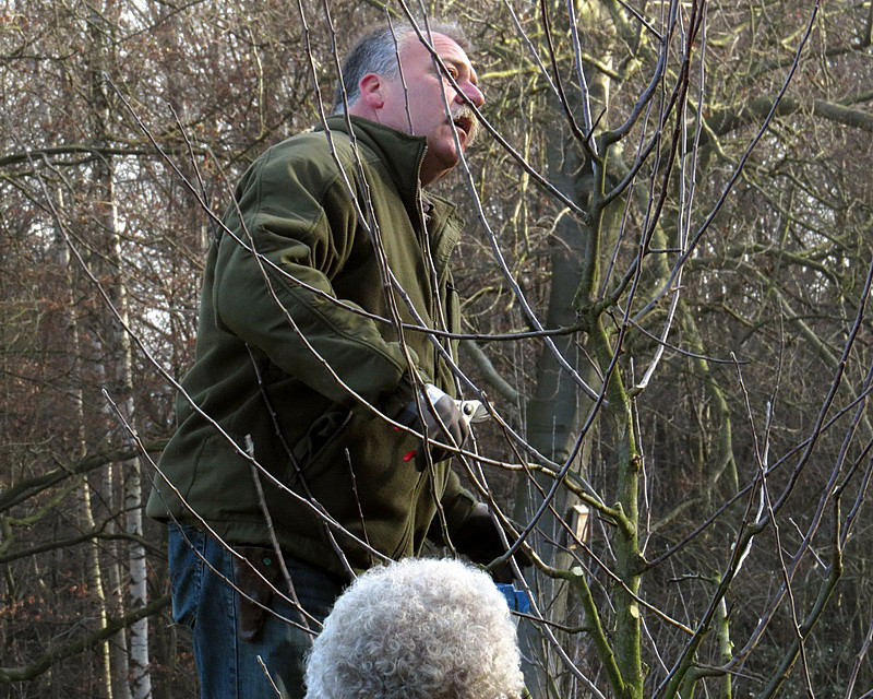 Herr Zepernick mitten im Baum