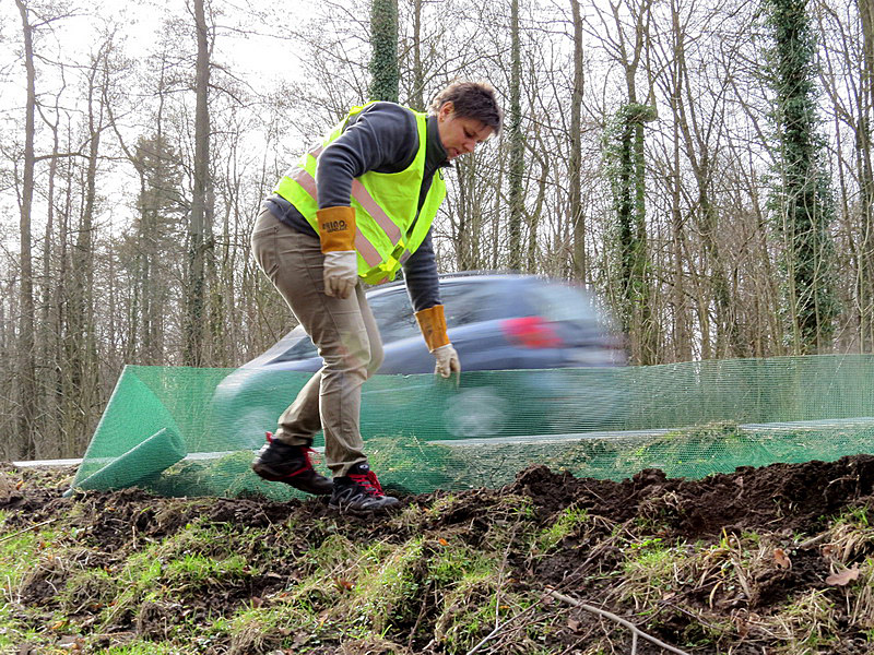 Vorbeirasendes Auto hinter Sylvia