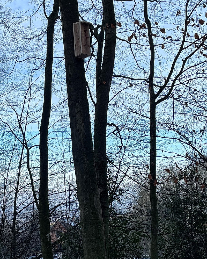 Der Specht-Nistkasten