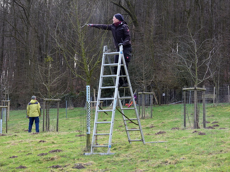 Für das "Obergeschoss" braucht es eine Leiter