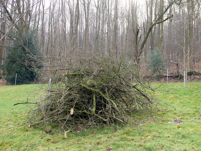 Dies wird KEIN Osterfeuer (siehe oben im Text).