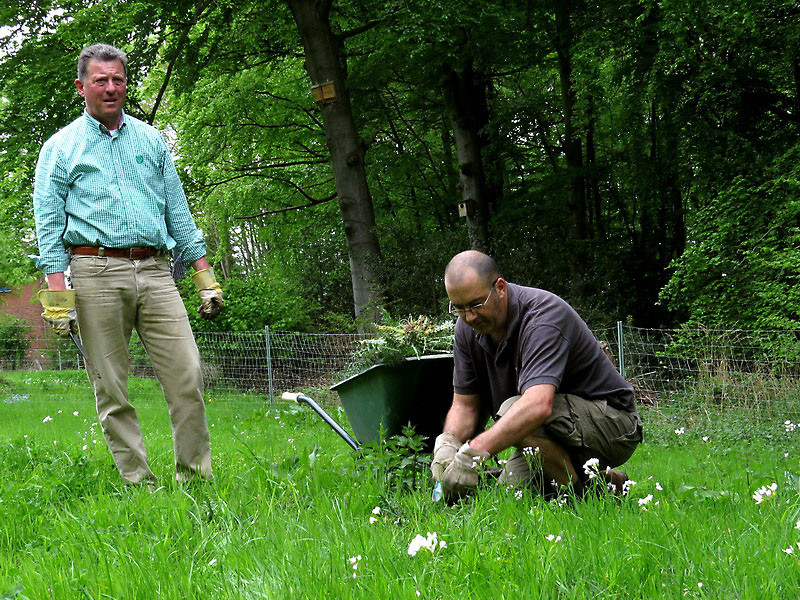 Gerd und Peter entsorgen die Disteln