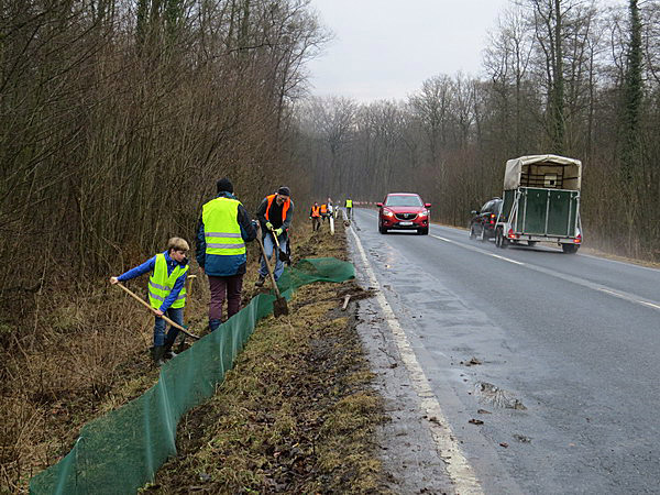 Bei dichtem und schnellem Autoverkehr hätten die Kröten allein keine Chance.