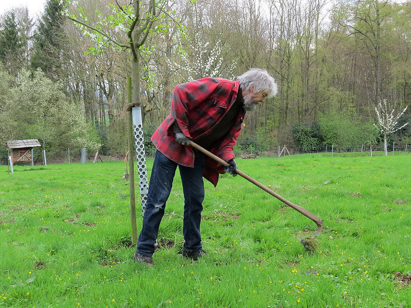 Andreas, unser Schäfer, bei der Arbeit