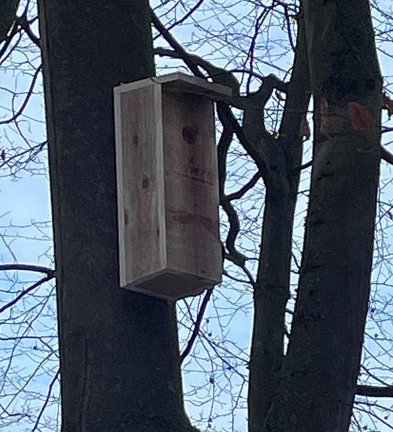 Der Specht-Nistkasten